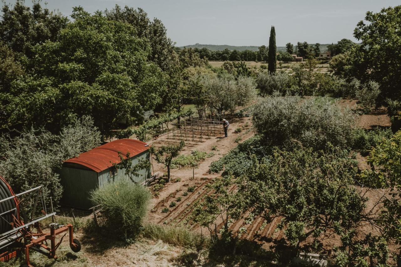 Agriturismo Cerqueto Acquapendente Luaran gambar